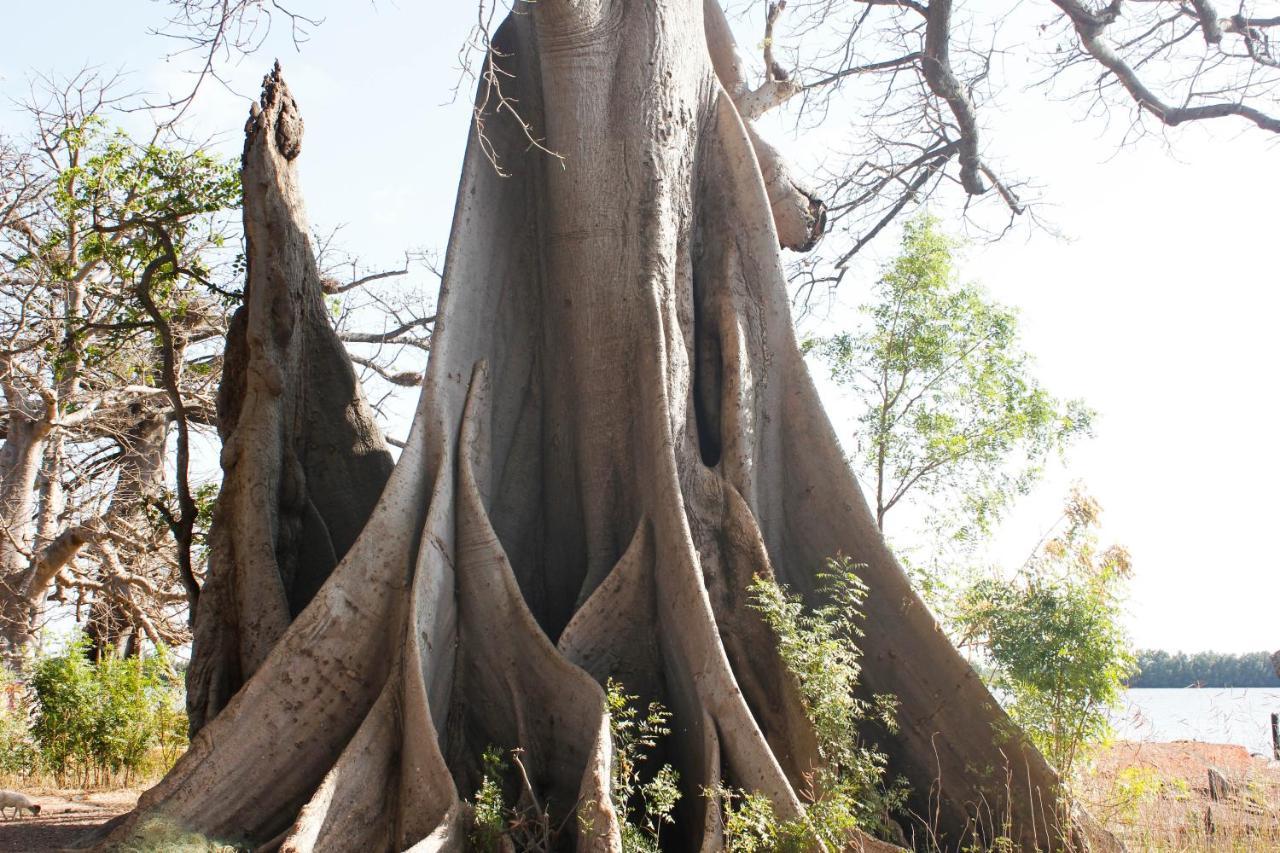 Bintang Bolong Lodge מראה חיצוני תמונה