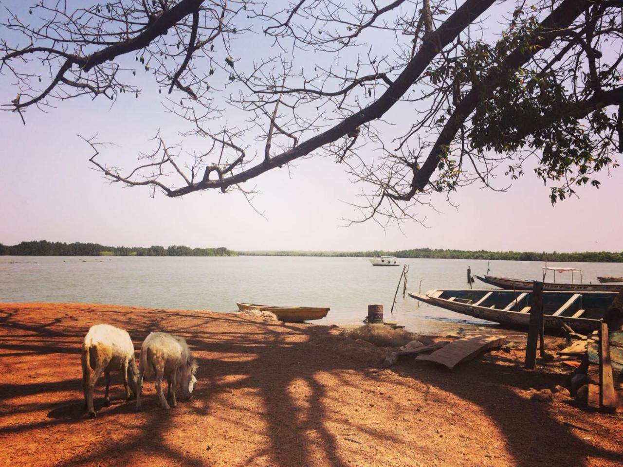 Bintang Bolong Lodge מראה חיצוני תמונה