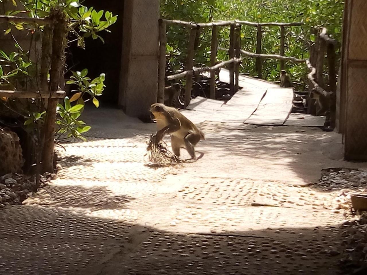 Bintang Bolong Lodge מראה חיצוני תמונה